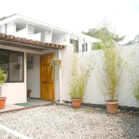 Apartamentos Y Studios Brisas Del Mar Santa Teresa Playa Santa Teresa  Exterior photo